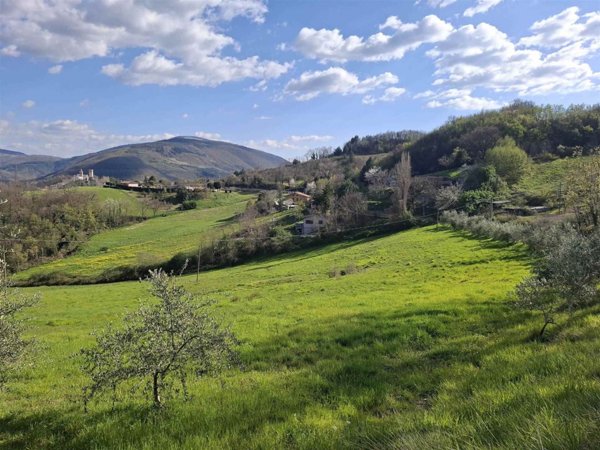 terreno agricolo in vendita a Nocera Umbra in zona Largnano