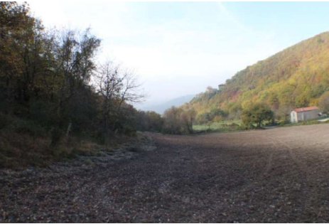 terreno agricolo in vendita a Nocera Umbra