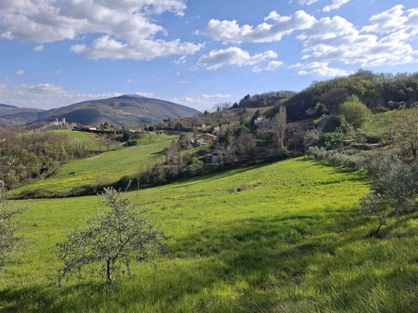 terreno agricolo in vendita a Nocera Umbra in zona Largnano