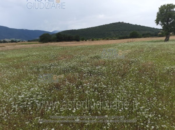 terreno edificabile in vendita a Norcia in zona San Pellegrino