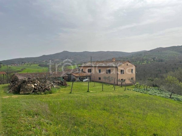 casa indipendente in vendita a Paciano