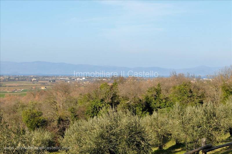 casa indipendente in vendita a Paciano