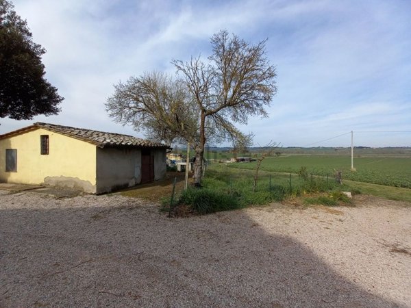 pentavano in vendita a Paciano
