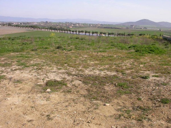 terreno edificabile in vendita a Paciano