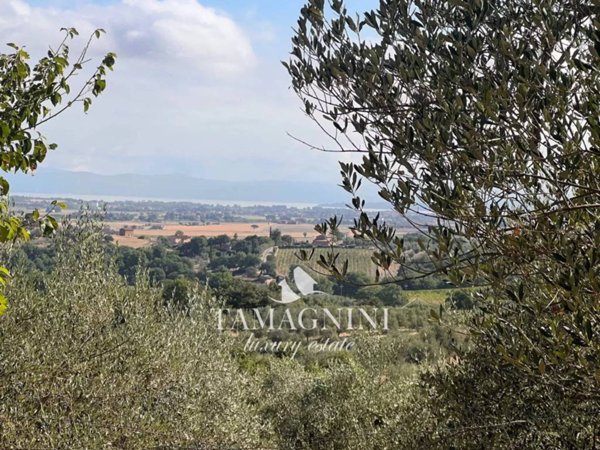 casa indipendente in vendita a Paciano