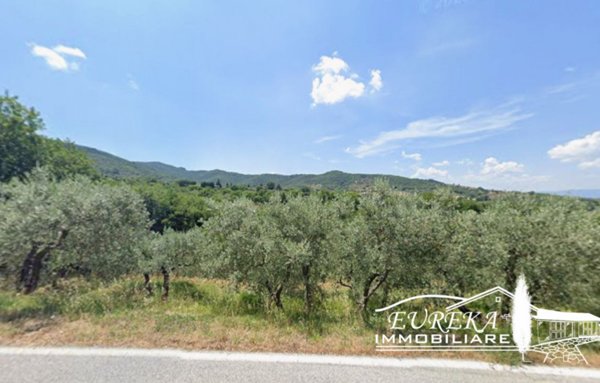 terreno in vendita a Paciano