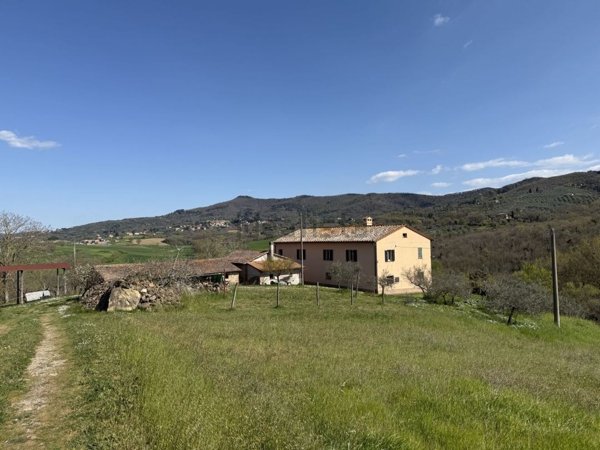 casa indipendente in vendita a Paciano
