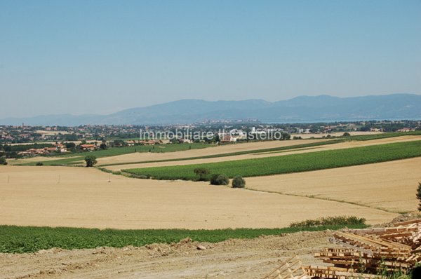 terreno edificabile in vendita a Paciano