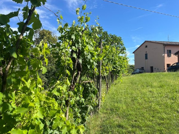 casa indipendente in vendita a Paciano