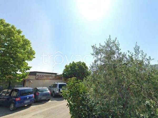 appartamento in vendita a Paciano