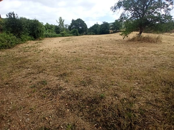 terreno agricolo in vendita a Panicale in zona Casalini
