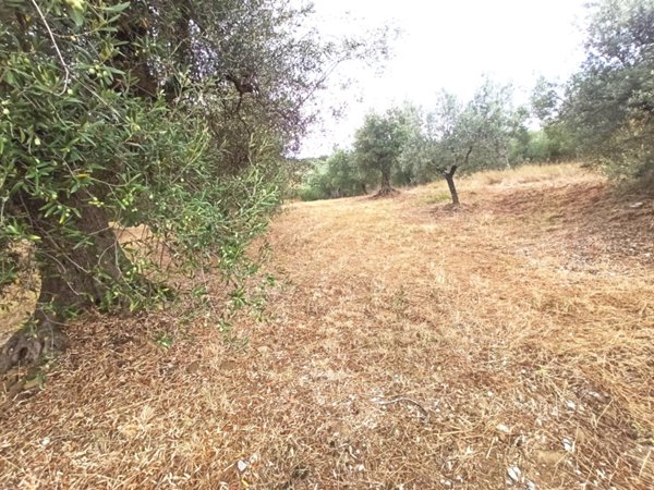 terreno agricolo in vendita a Panicale in zona Casalini