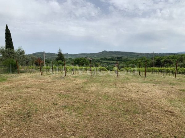 terreno agricolo in vendita a Panicale