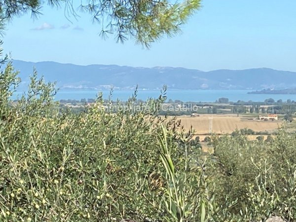 terreno agricolo in vendita a Panicale