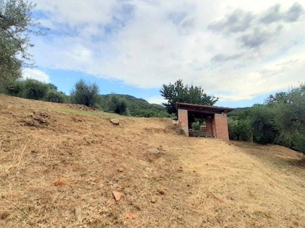 terreno agricolo in vendita a Panicale in zona Casalini
