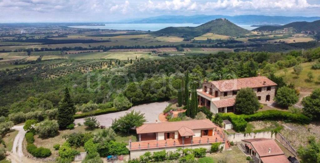 azienda agricola in vendita a Panicale