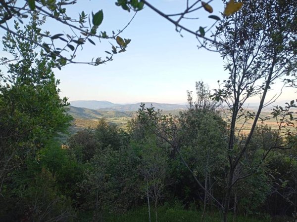 terreno agricolo in vendita a Panicale