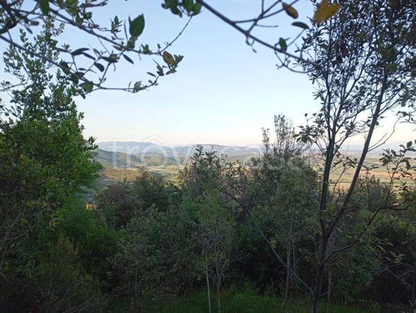 terreno agricolo in vendita a Panicale