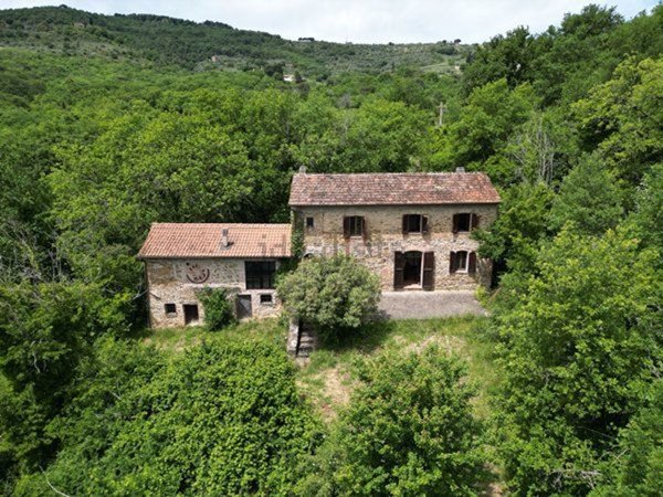 esavano in vendita a Panicale