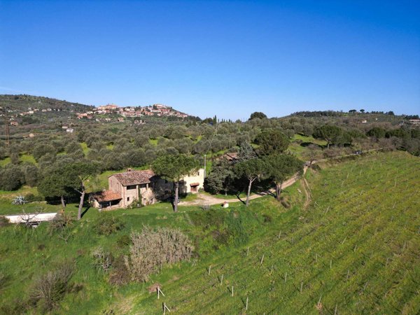 negozio in vendita a Panicale