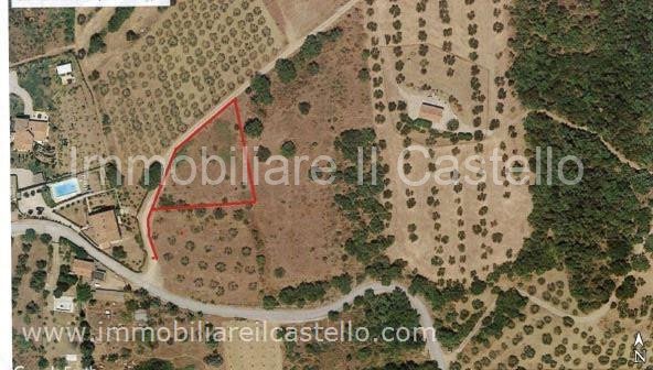 terreno agricolo in vendita a Panicale in zona Casalini