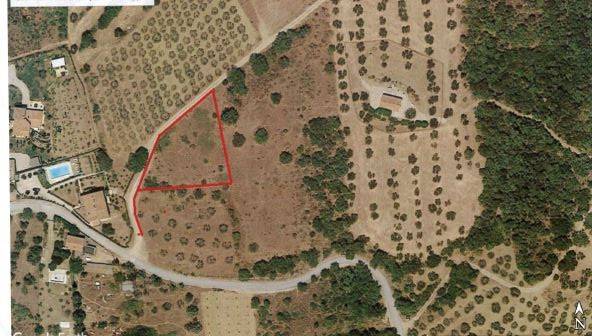 terreno agricolo in vendita a Panicale