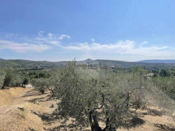 terreno edificabile in vendita a Panicale