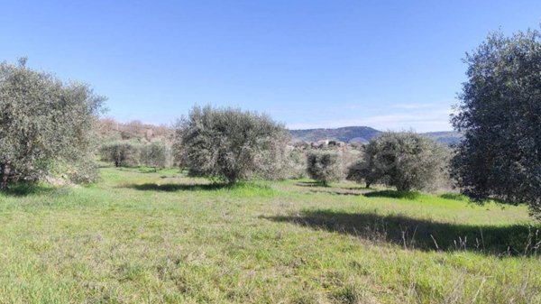 casa indipendente in vendita a Panicale in zona Colle San Paolo