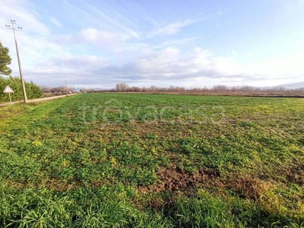 terreno agricolo in vendita a Panicale