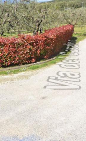 terreno edificabile in vendita a Panicale in zona Casalini