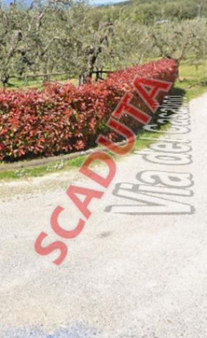 terreno edificabile in vendita a Panicale in zona Casalini