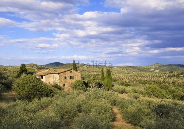 appartamento in vendita a Panicale