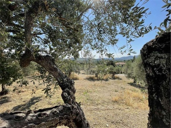 terreno edificabile in vendita a Panicale