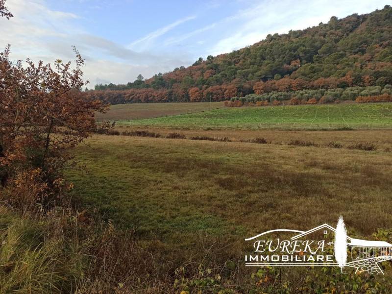 terreno in vendita a Panicale in zona Casalini