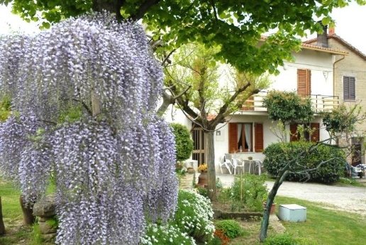 appartamento in vendita a Panicale