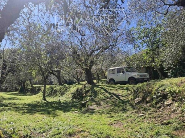 terreno agricolo in vendita a Panicale in zona Missiano