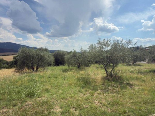 terreno edificabile in vendita a Panicale in zona Missiano