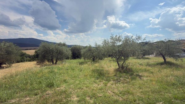terreno in vendita a Panicale in zona Missiano