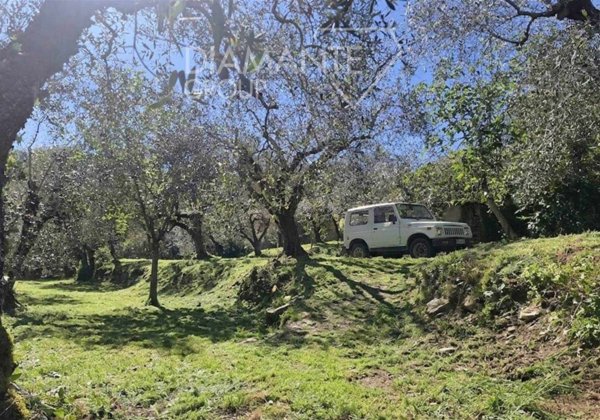 terreno agricolo in vendita a Panicale in zona Missiano