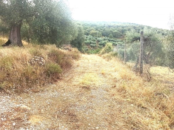terreno in vendita a Panicale in zona Casalini