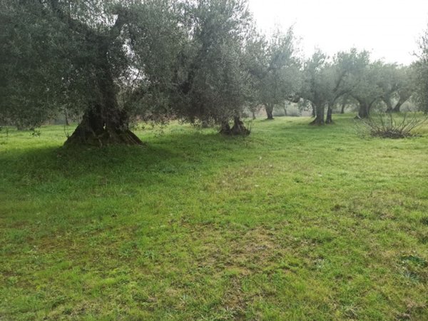 terreno in vendita a Panicale in zona Casalini
