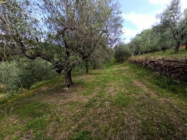 terreno in vendita a Panicale in zona Casalini