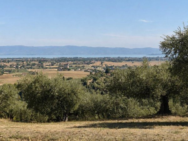 terreno in vendita a Panicale