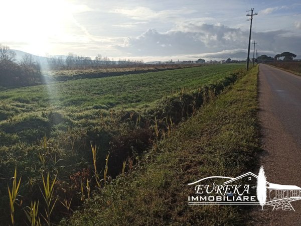 terreno in vendita a Panicale