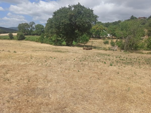 terreno in vendita a Panicale in zona Casalini