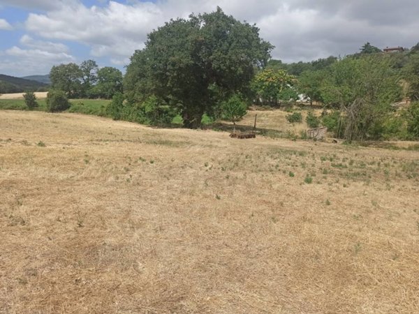 terreno in vendita a Panicale in zona Casalini