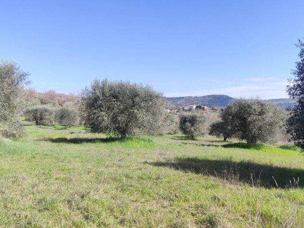terreno in vendita a Panicale in zona Colle San Paolo