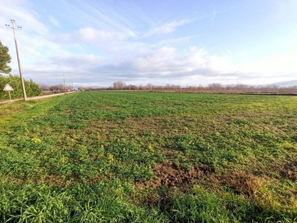 terreno in vendita a Panicale