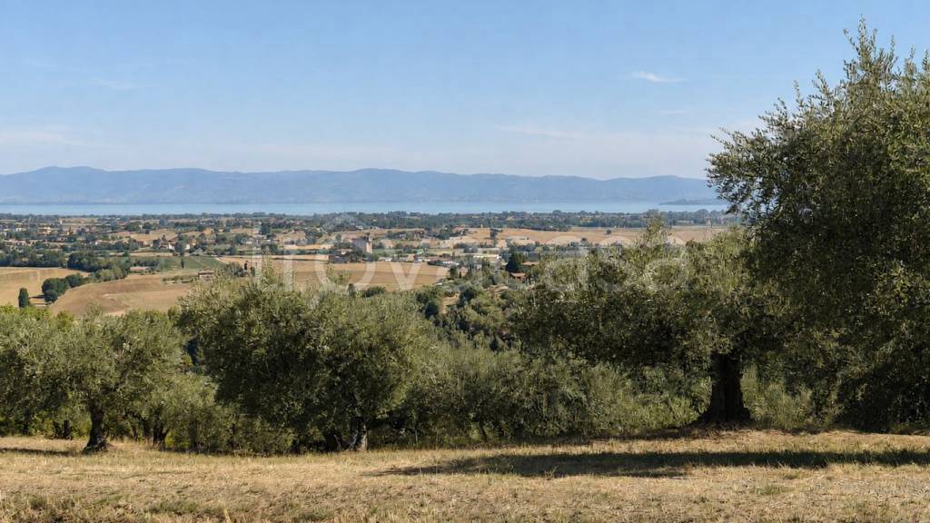 terreno in vendita a Panicale