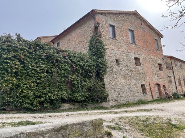 azienda agricola in vendita a Passignano sul Trasimeno